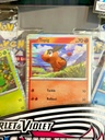 Pokémon TCG Black Bolt & White Flare Poster Collection