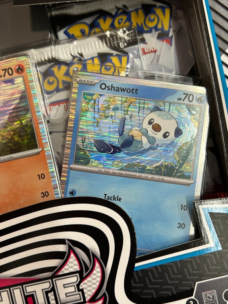 Pokémon TCG Black Bolt & White Flare Poster Collection