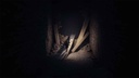 Reanimal - PS5