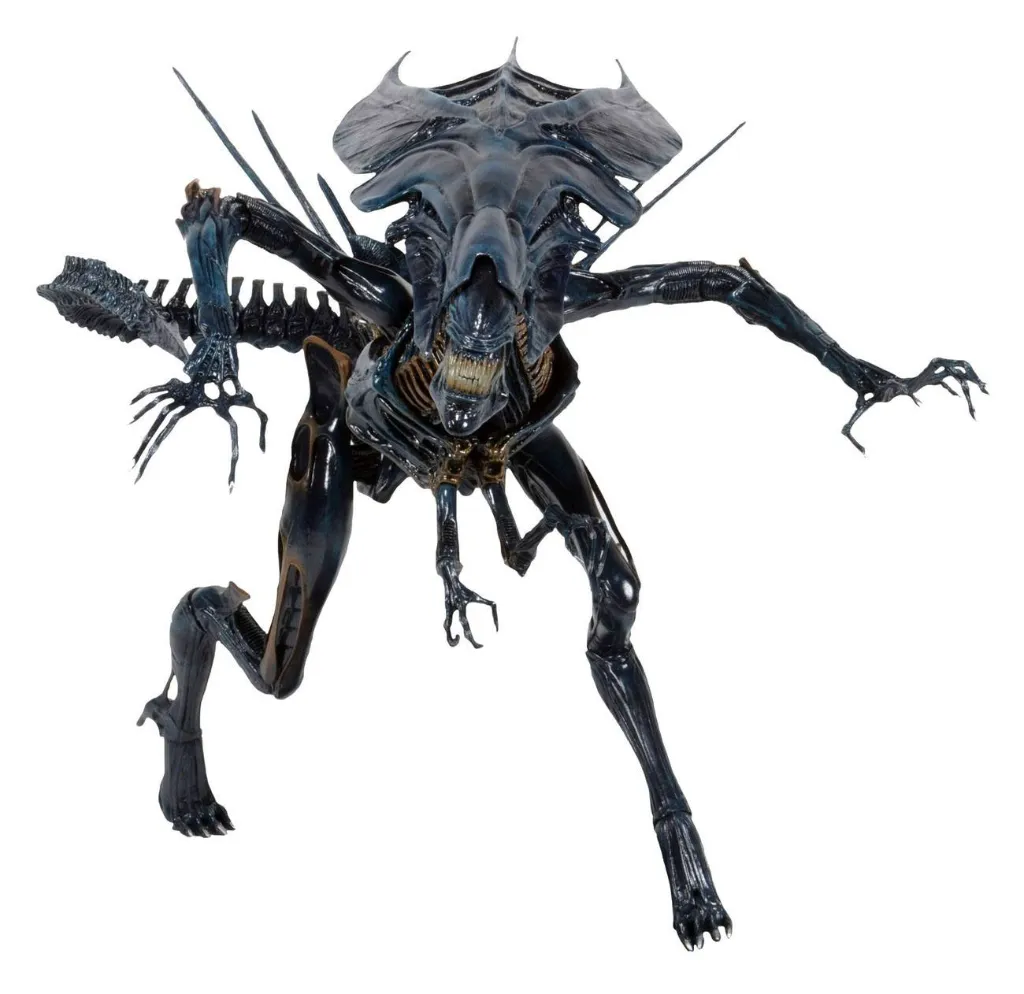 hr_neca51385_a.webp