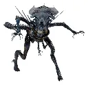 hr_neca51385_a.webp