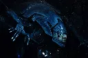 hr_neca51385_c.webp