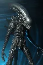 hr_neca51598-01_d.webp