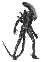 hr_neca51598-01_m.webp