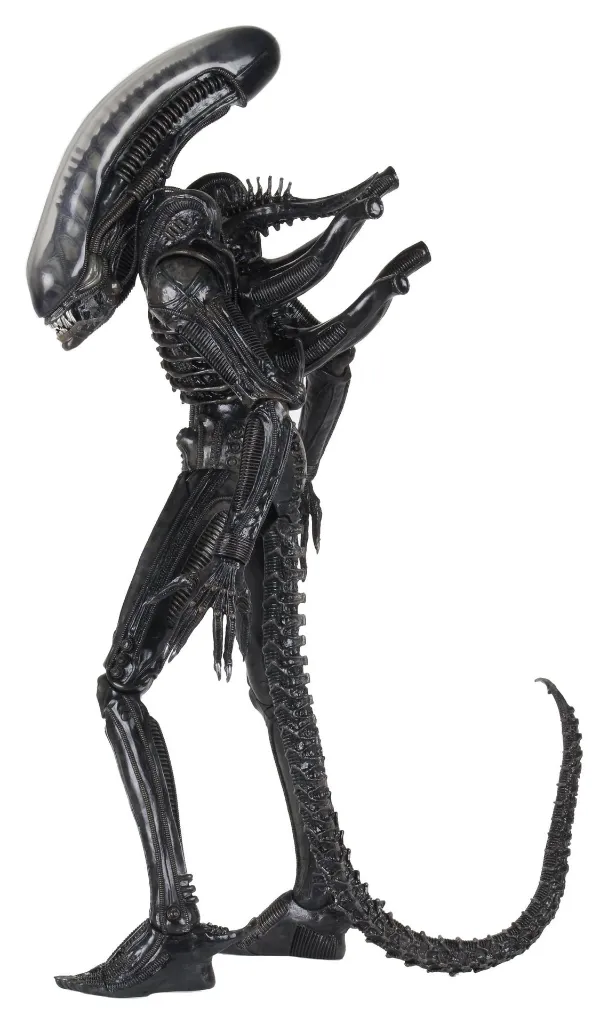 hr_neca51598-01_n.webp