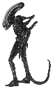 hr_neca51598-01_n.webp