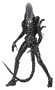 hr_neca51598-01.webp