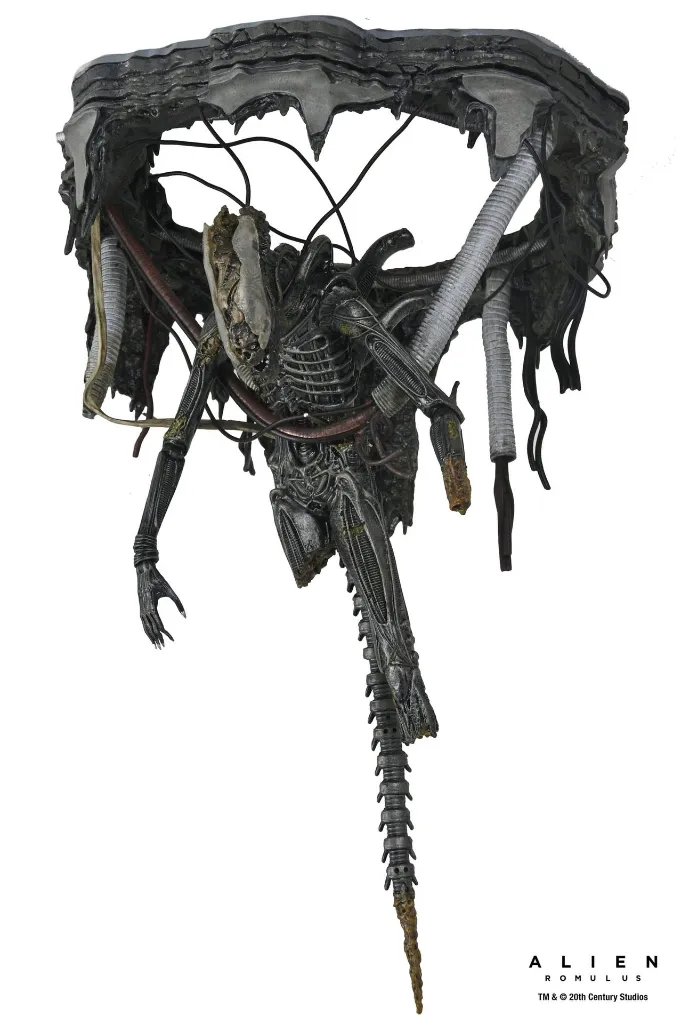 hr_necan1743-01_h.webp