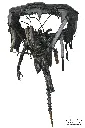 hr_necan1743-01_h.webp