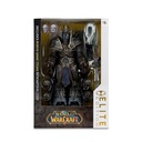 World of Warcraft the Lich King 7  Deluxe Action Figure Elite Edition #9 - McFarlane Toys