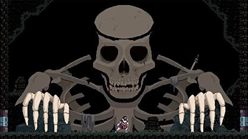 Chronicles of 2 Heroes: Amaterasu S Wrath [Nintendo Switch]