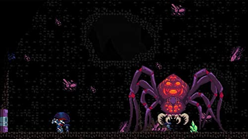 Chronicles of 2 Heroes: Amaterasu S Wrath [Nintendo Switch]