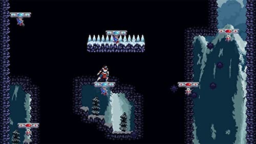 Chronicles of 2 Heroes: Amaterasu S Wrath [Nintendo Switch]