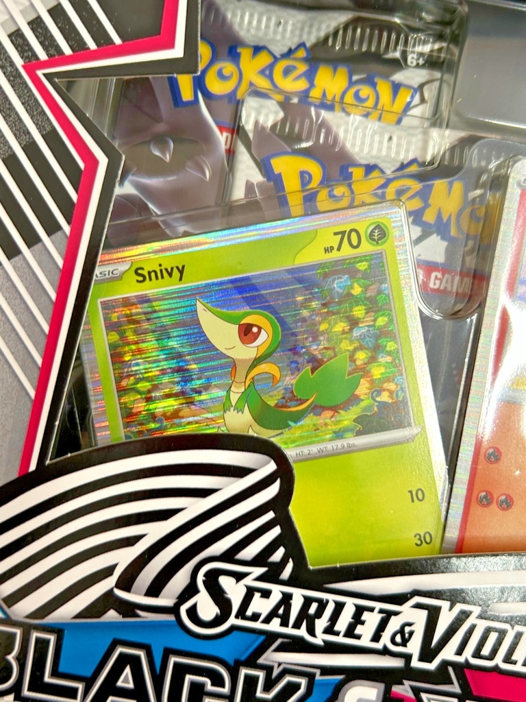 Pokémon TCG Black Bolt & White Flare Poster Collection