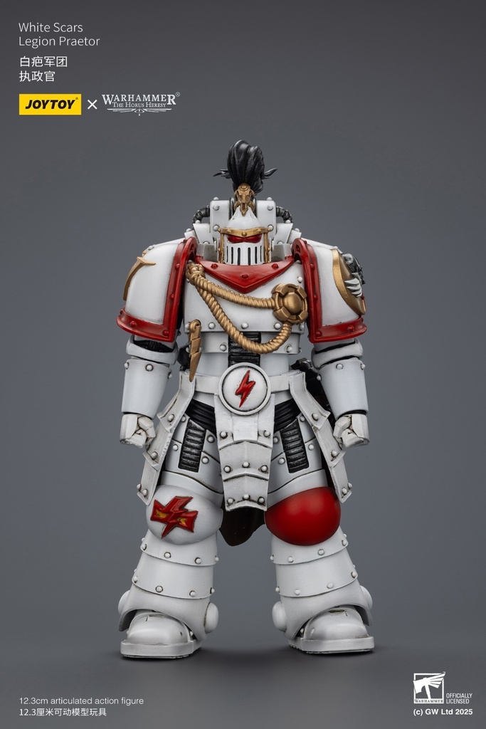 JoyToy Warhammer 1:18 White Scars Ebon Keshig Terminator