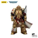 Warhammer 40,000: Combat Patrol Blood Angels Action Figure Captain with Heavy Bolt Pistol & Power Sword 20 cm